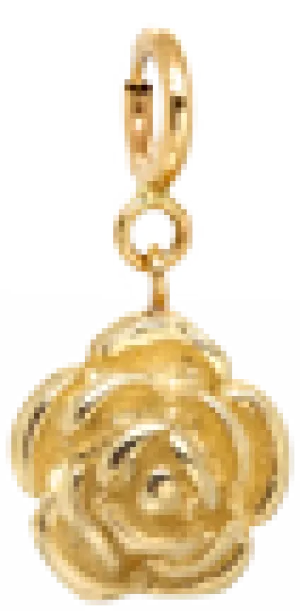 14k rose charm on spring ring