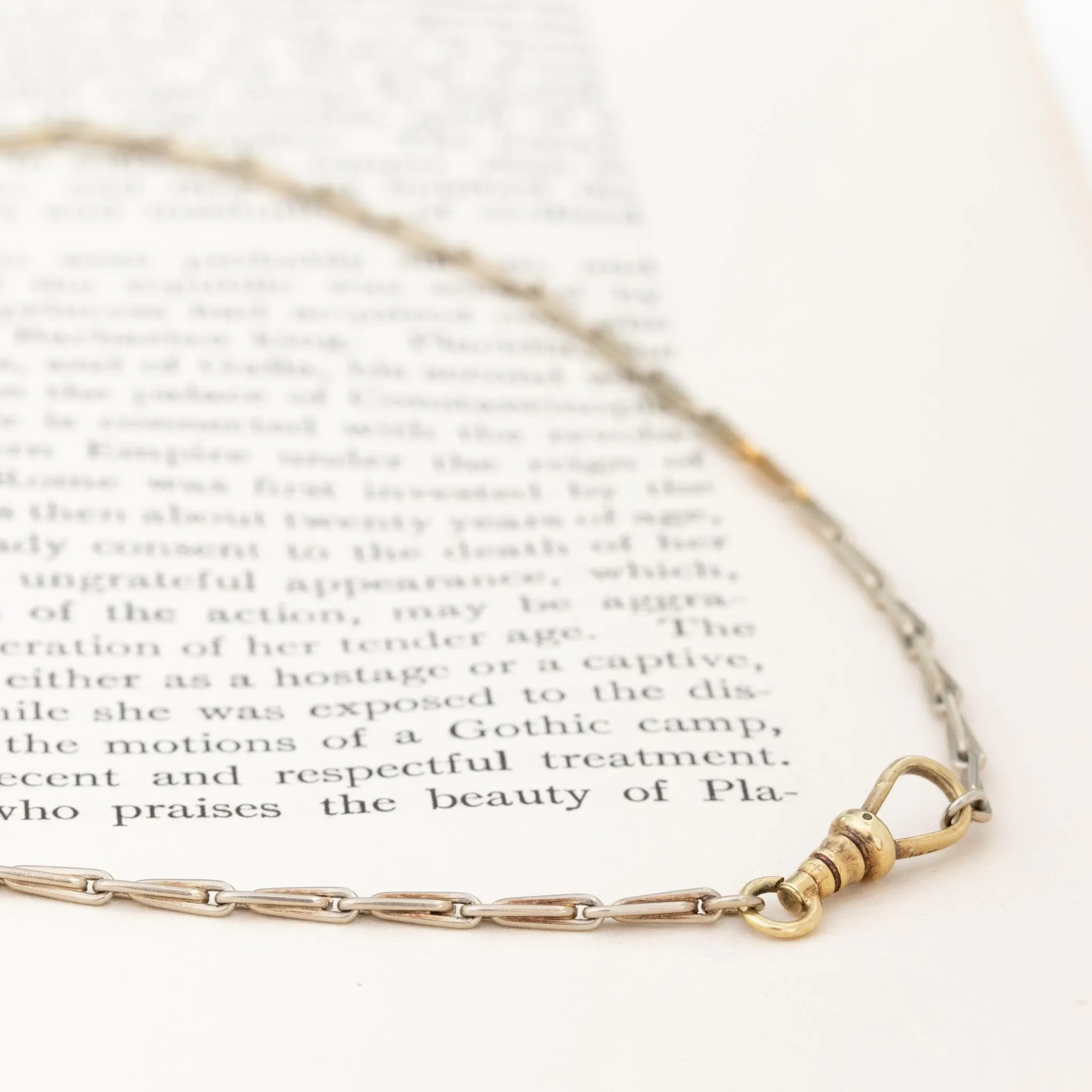Antique Needle Chain Choker