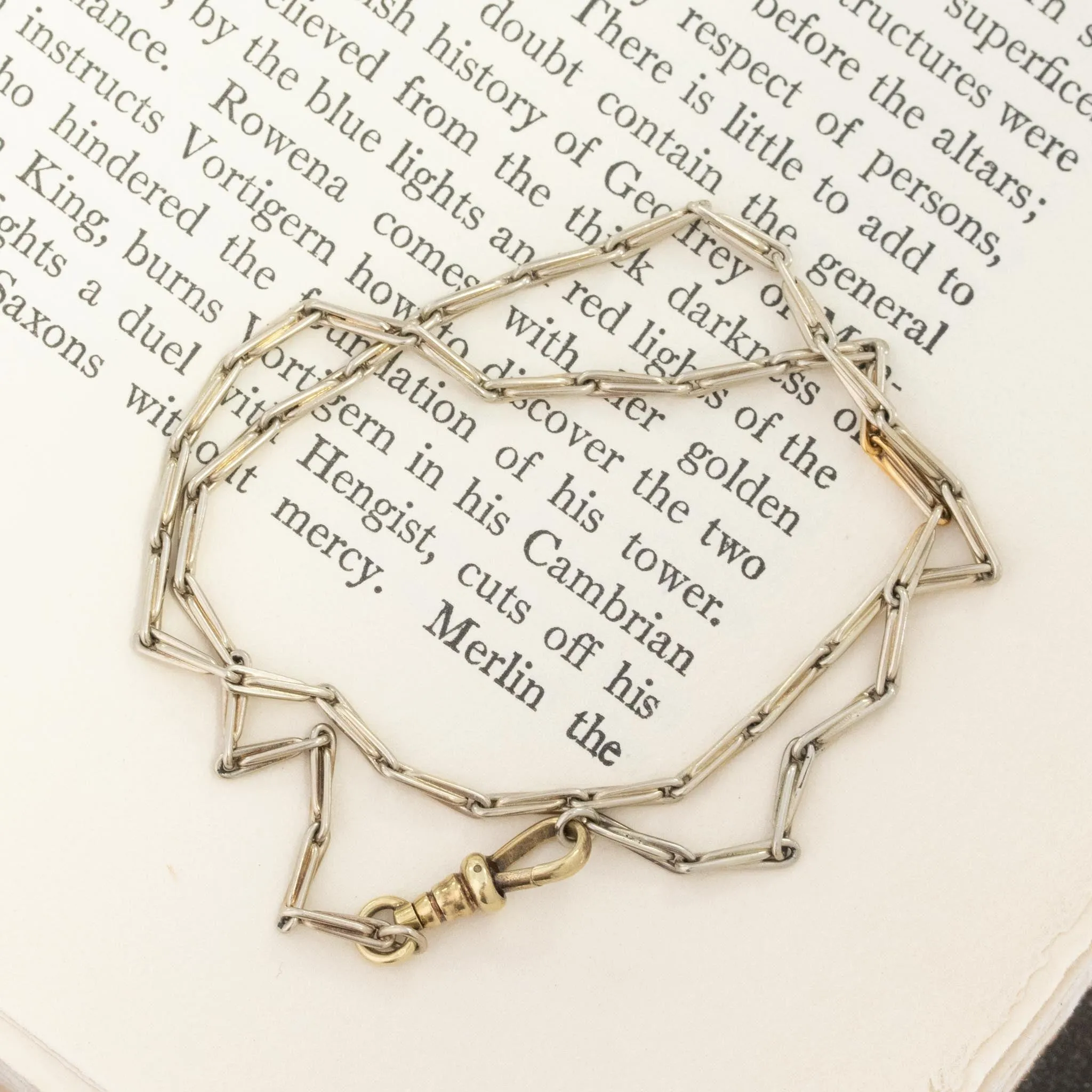 Antique Needle Chain Choker