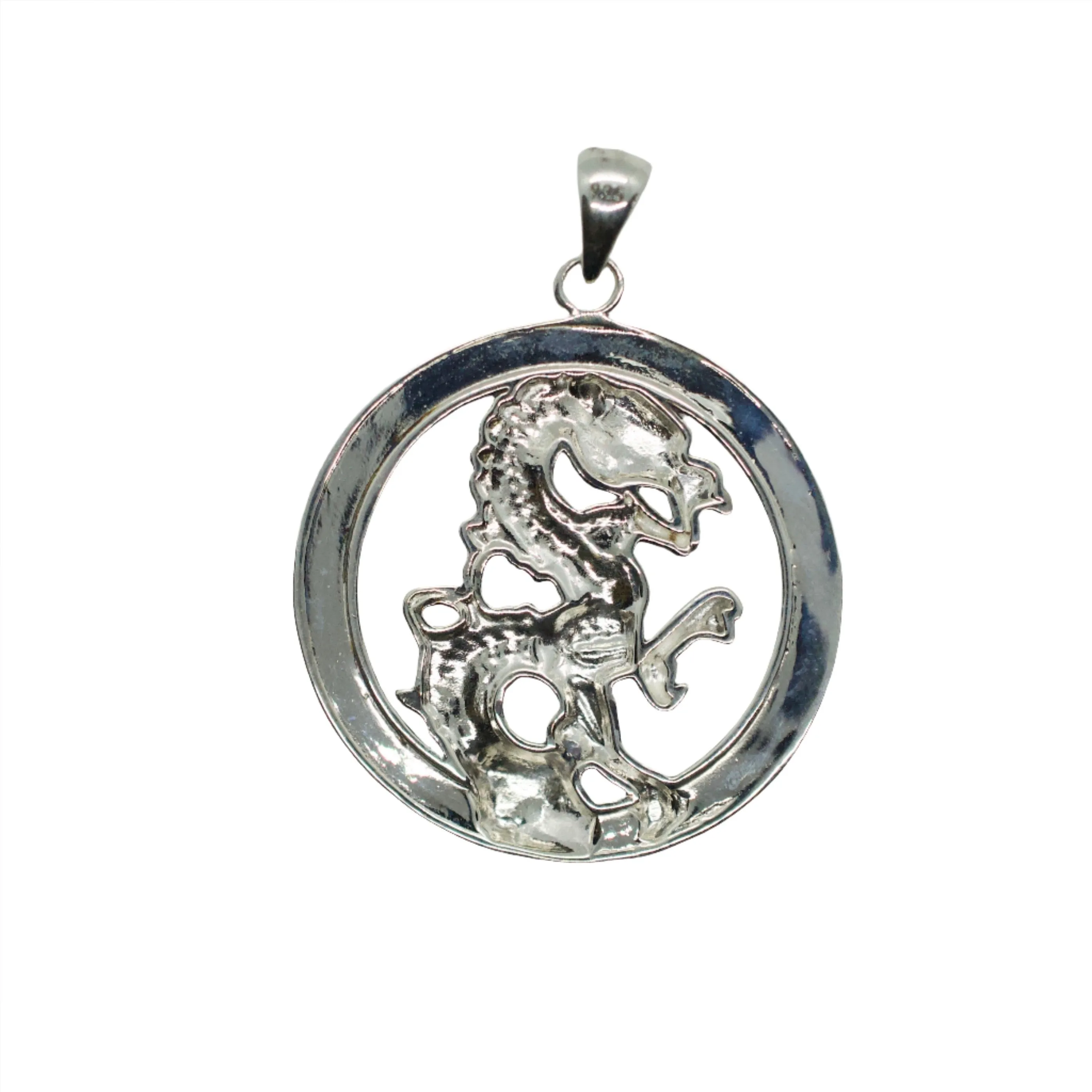 Fire on the Mountain Sterling Silver Pendant Necklace Dragon Whole Pail of Water