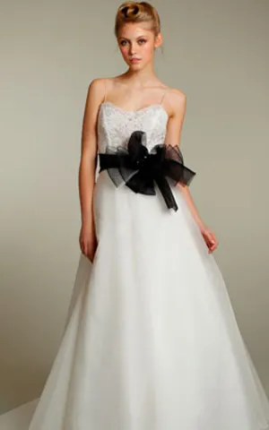 Glamorous Spaghetti Strap Organza a Line Dress With Lace Bodice