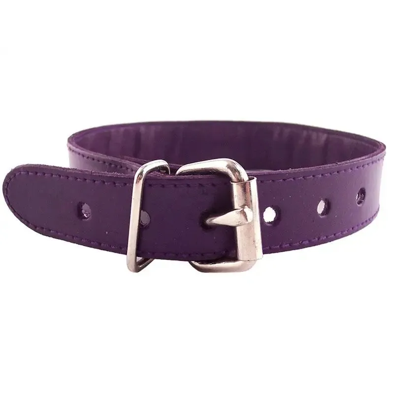 Rouge Garments Purple Leather O-ring Studded Collar