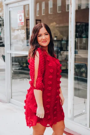 Scarlet Swiss Dot Dress- Red S-3X