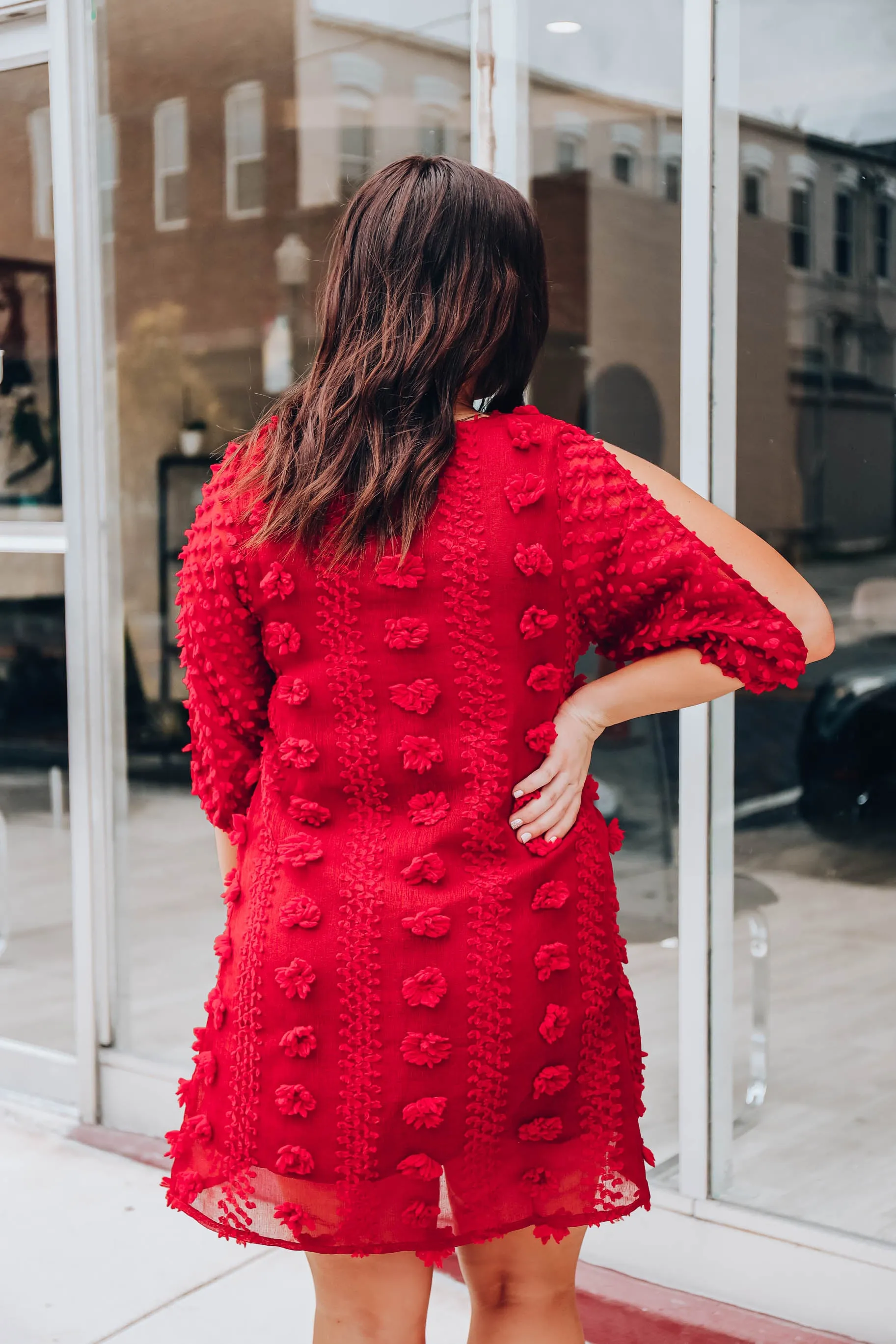 Scarlet Swiss Dot Dress- Red S-3X